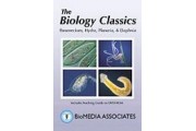 Paramecium, Hydra, Planaria, and Daphnia