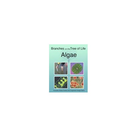 The Biology of Algae