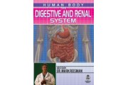 Human Body: The Digestive and Renal Systems DVD