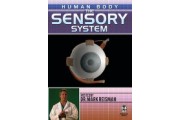 Human Body: The Sensory System DVD