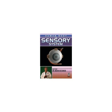 Human Body: The Sensory System DVD