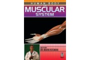 Human Body: The Muscular System DVD