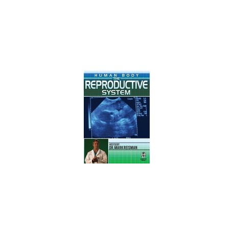 Human Body: The Reproductive System DVD