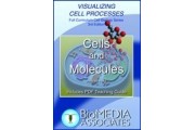 Cells and Molecules DVD