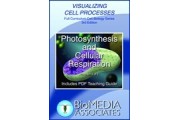 Photosynthesis and Cellular Respiration DVD
