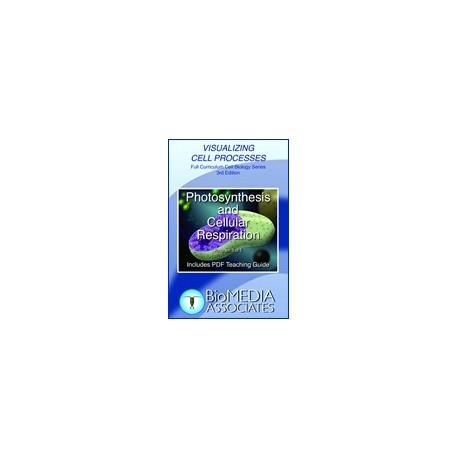 Photosynthesis and Cellular Respiration DVD