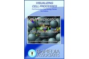 DNA Replication, Mitosis and Cell Reproduction DVD