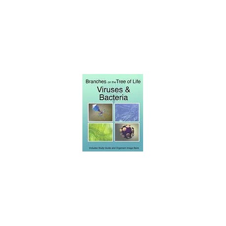 The Biology of Viruses and Bacteria DVD