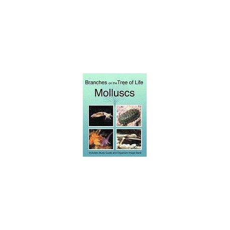 The Biology of Molluscs DVD