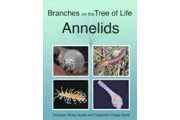 The Biology of Annelids DVD