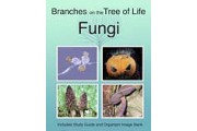 The Biology of Fungi DVD