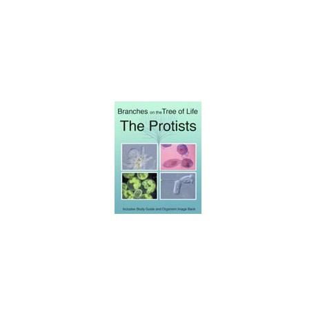 The Biology of Protists DVD