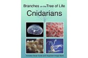 The Biology of Cnidarians DVD