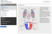 Basic Phlebotomy