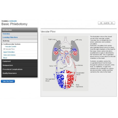 Basic Phlebotomy