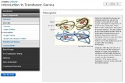 Introduction to Transfusion Services
