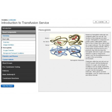 Introduction to Transfusion Services