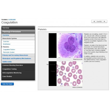 Coagulation