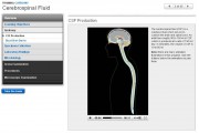 Cerebrospinal fluid