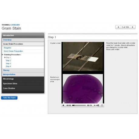 Gram Stain
