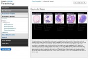 Parasitology