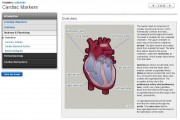 Cardiac Markers