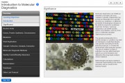 Introduction to Molecular Diagnostics