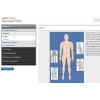 Synovial Fluid