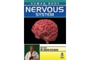 Human Body: The Nervous System