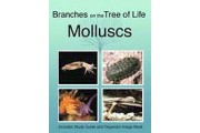 The Biology of Molluscs
