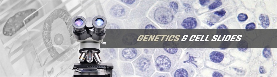 Cytology & Genetics