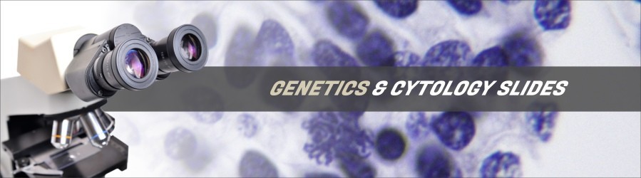 Cytology & Genetics Slides Cytology & Genetics Slides