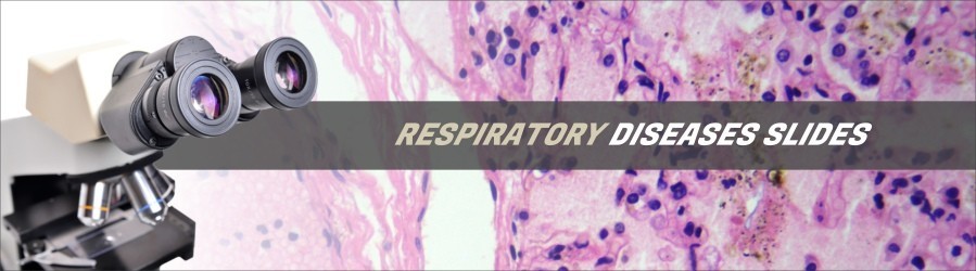 Respiratory Diseases Slides